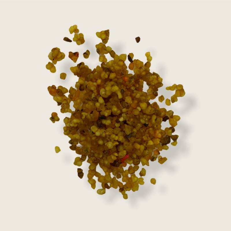 Λιβάνι νάρδος